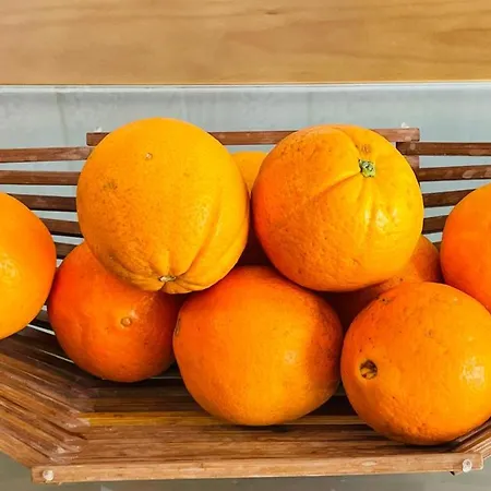 Aqua Plaza By Check-in Portugal Apartman Albufeira