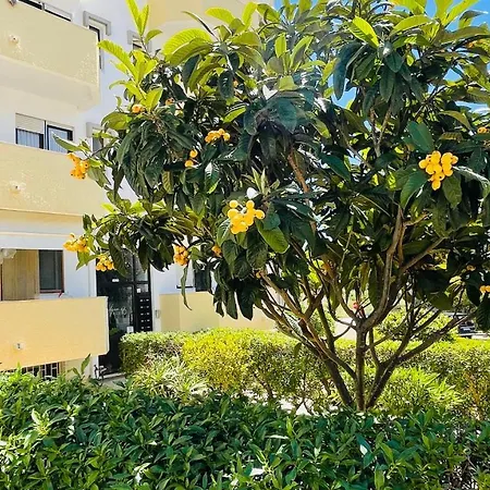 Aqua Plaza By Check-in Portugal 알부페이라